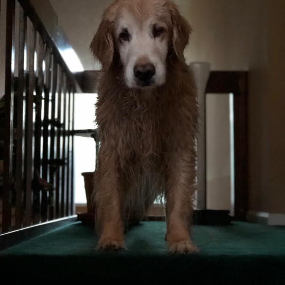 Meet your Posher, Debbie - Picture 7 of 8